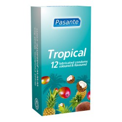 Pasante Tropical Flavours (12uds)